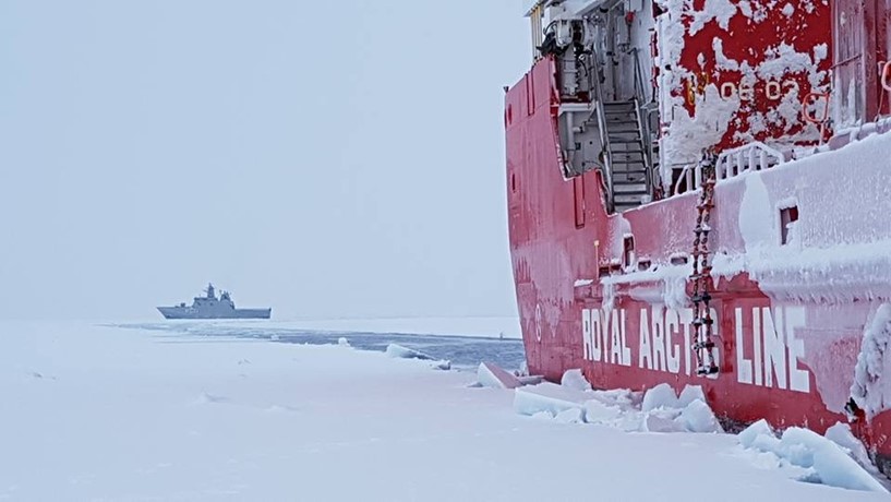 Arctic line незамерзайка